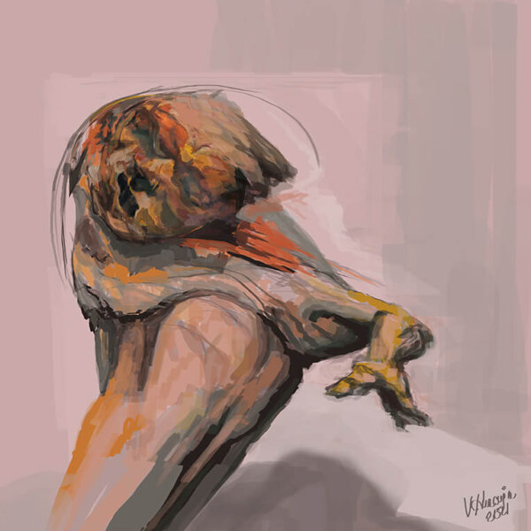 I’m an artist interested in abnormality, deformity and its effects on human life. The persons that lose one of their five senses or were born missing one of them call my interest.