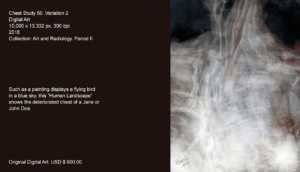 The portrait displays the carnal material of a Jane or a John Doe’s cranium.I based this work on several medical radiological studies done to anonymous human bodies. This portrait displays a partial part of the face, such as if the character has an inconclusive presence. The paper's support is from the Italian brand Fabriano, 300 gm / m2. Such as a painting displays a flying bird in a blue sky, this “Human Landscape” shows the deteriorated chest of a Jane or John Doe.